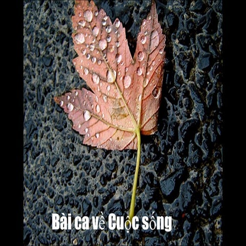 Bai Ca Cuoc Song