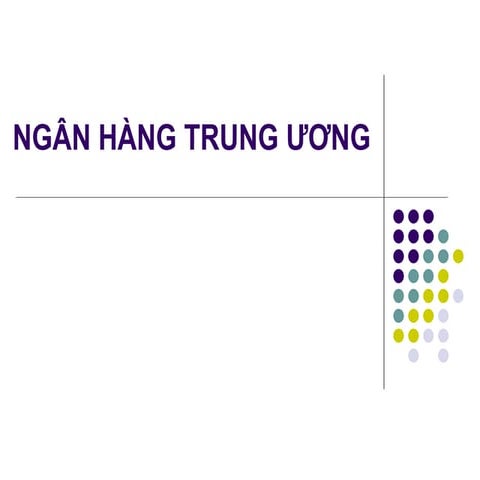 Bài giảng ngân hàng trung ương Việt Nam NEU