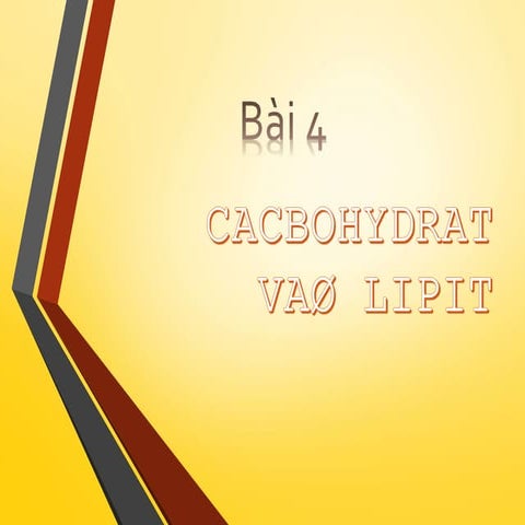 bai 4 Cacbohydrat va lipit