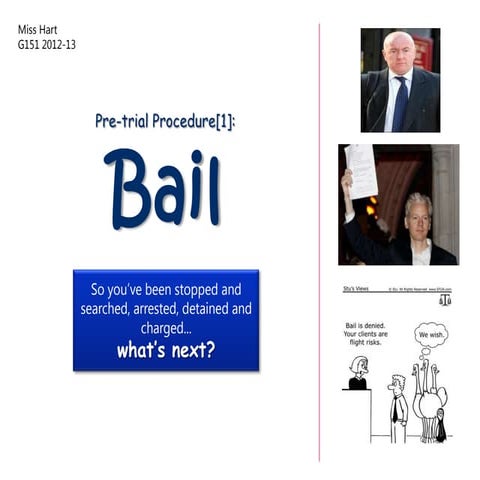 Bail 2012