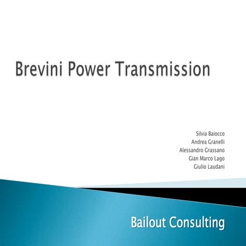Bailout.consulting.brevini