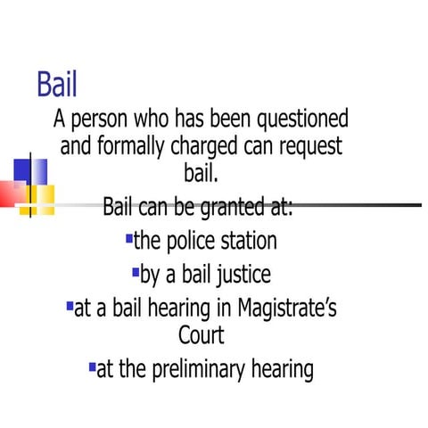 Bail Process