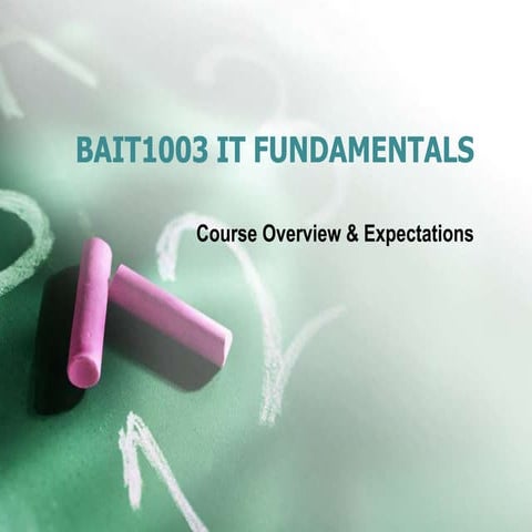 Bait1003 Course Overview