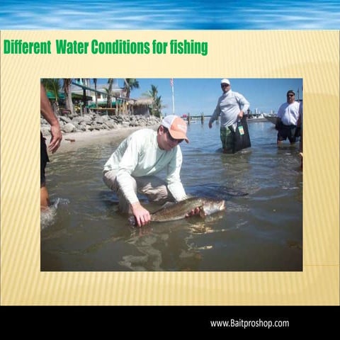 Bass Fishing 101 Techniques! | PDF