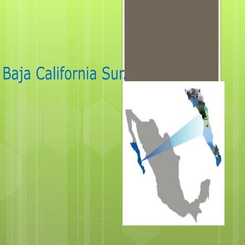 Baja california sur