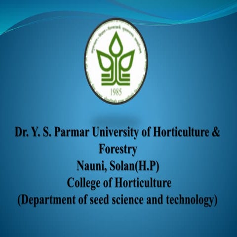 Bajra seed production