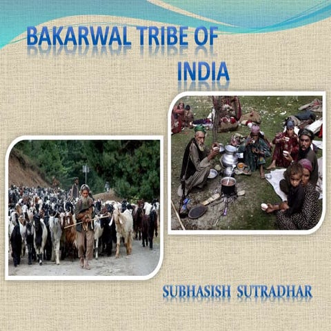 Bakarwal Tribe of Jammu & Kashmir
