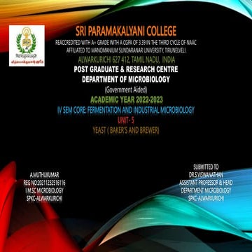 baker's yeast and brewer yeast .pptx