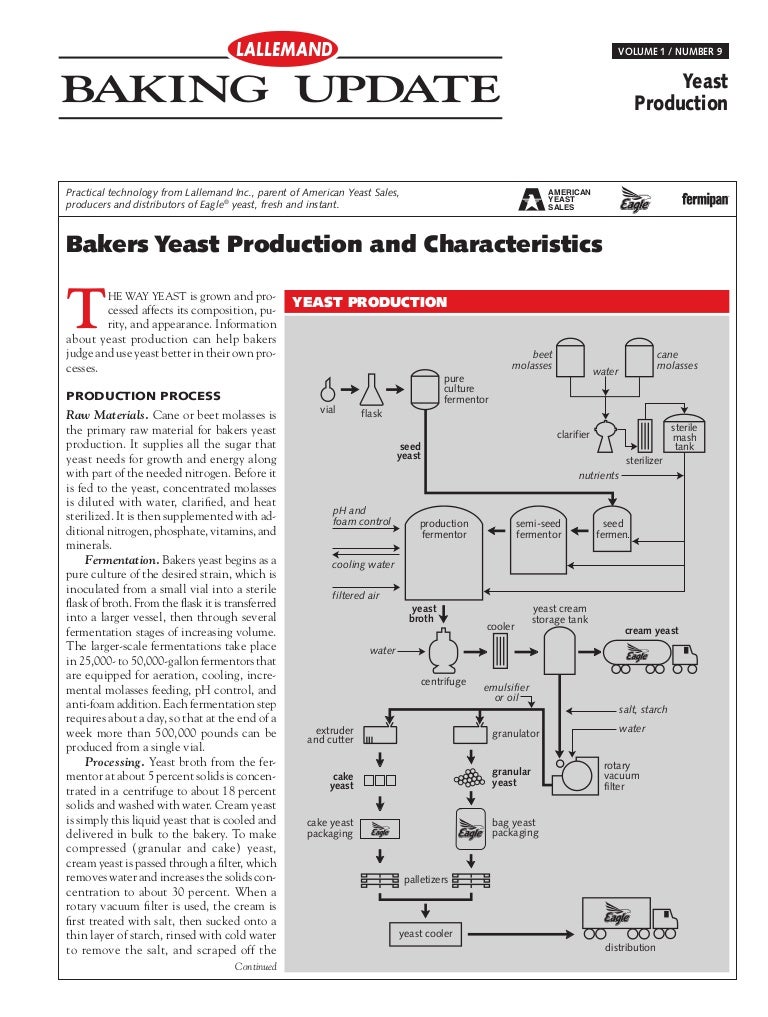 Bakers yeast production and characteristics