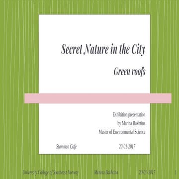 Secret Nature in the City - green roofs in Oslo, Norway