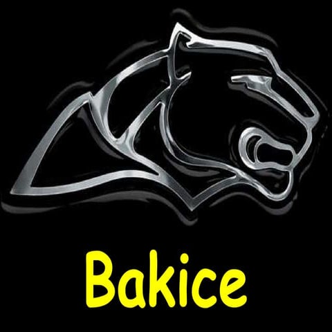 Bakice | PPS