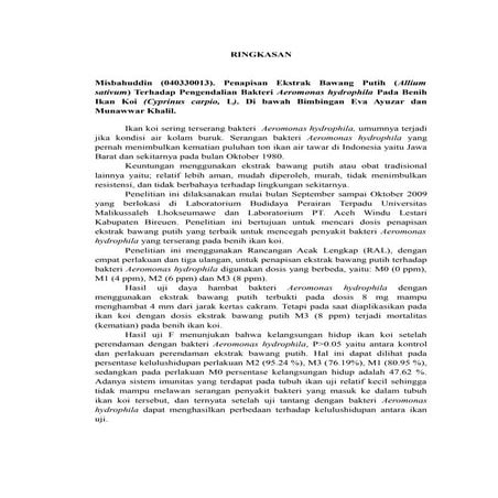 Bakteri aeromonas hydrophila  www.atjehnanan.wordpress.com