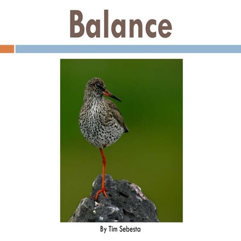 Balance