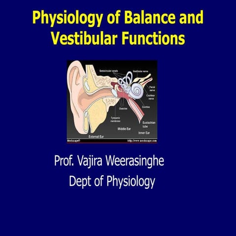 balance-110130141524-phpapp01.pptx
