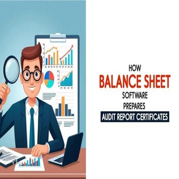 How to Prepare Audit Report Certificates Using Balance Sheet Software | PDF