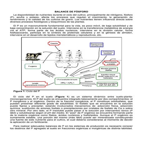 Balance De Fosforo 2009