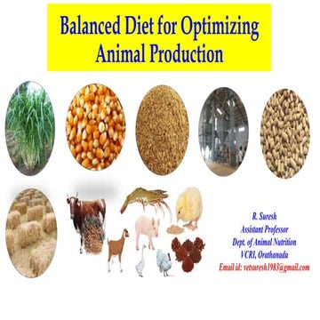 Ration formulation | PPTX
