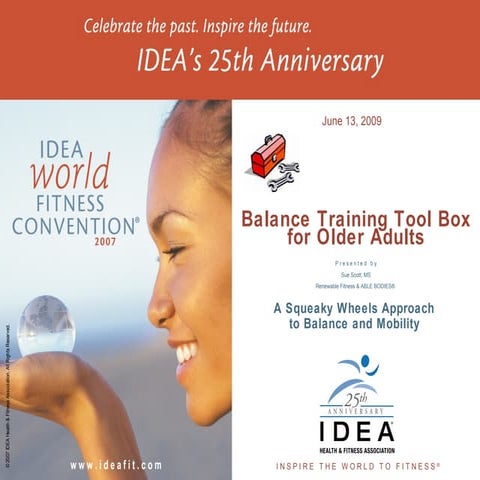 Balance Training Toolbox for Older Adults