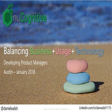 Balancing Business + Usage + Technology Workshop by Daniel Walsh nuCognitive