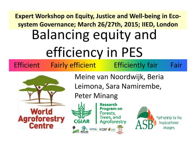 Equity workshop: Balancing equity and efficiency in Payments for Ecosystem Services (PES)