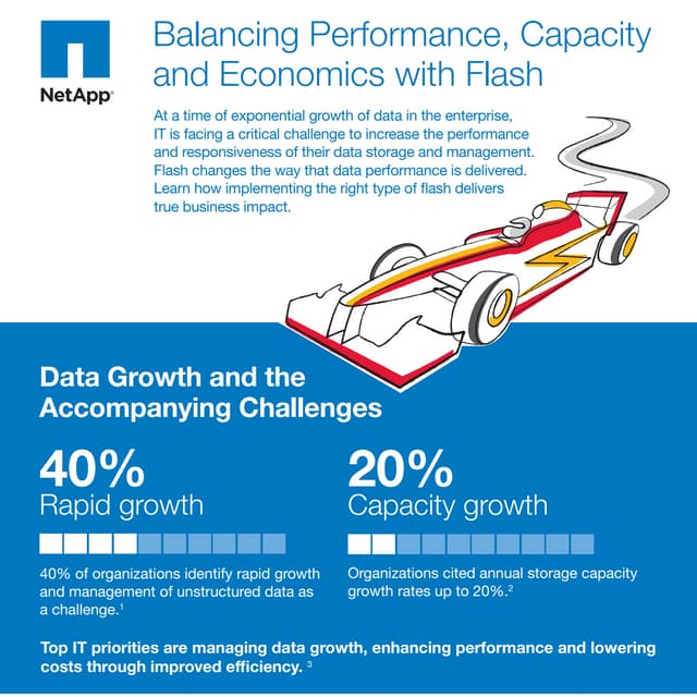 Balancing Performance, Capacity and Economics with Flash