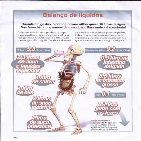 Balanço de líquidos 