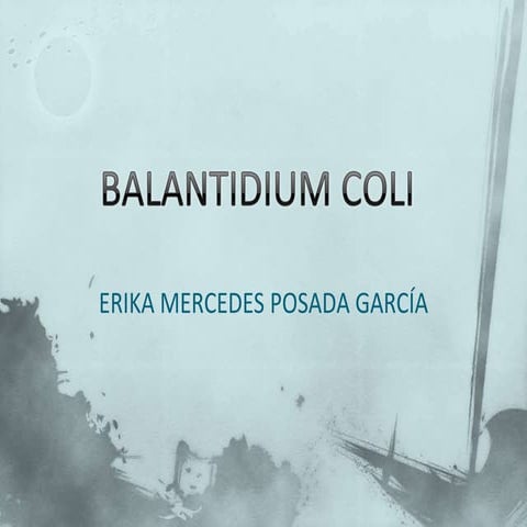 Balantidium coli