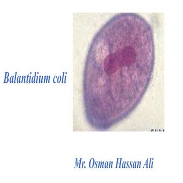 Balantidium coli.pptx medical parasitology