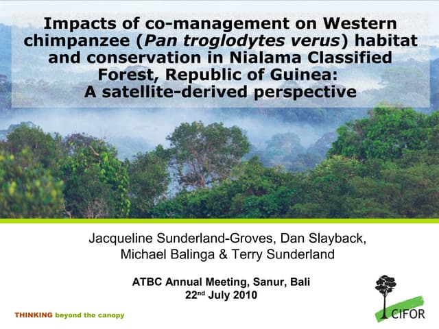 thumbnail of  Impacts of co-management on Western chimpanzee habitat and conservation in Nialama Classified Forest