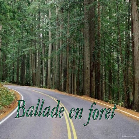 Balladeenforêt
