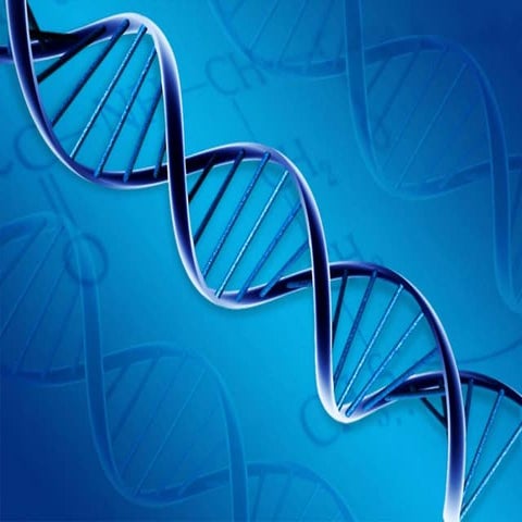 Balanced solution is a boon for fluid resuscitation