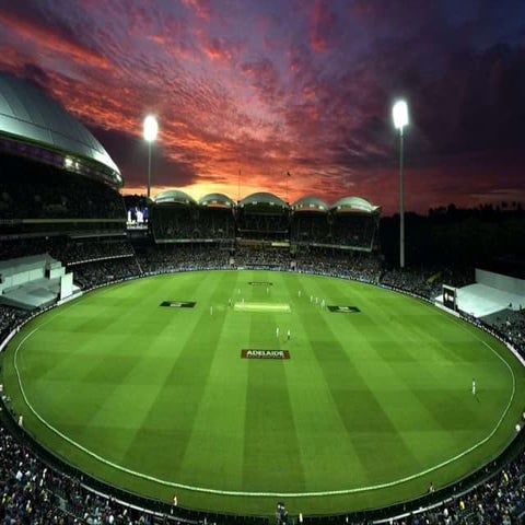 Dark Side Of Sports (Cricket)