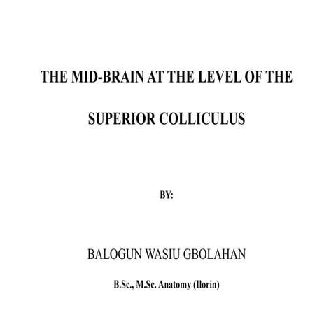 MIDBRAIN basic anatomy and applied aspects. | PPT