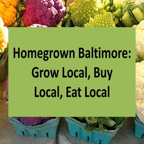 Baltimore’s Food Justice Initiatives_Urban Agriculture, Virtual Supermarkets ...