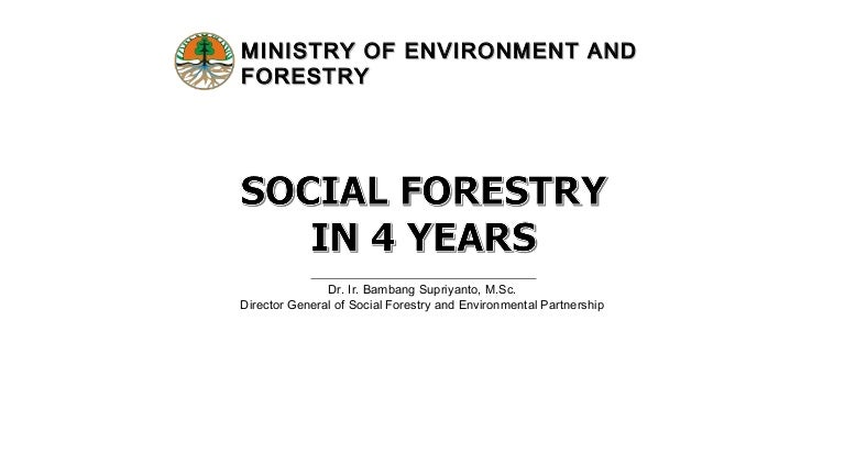 thumbnail of  Social forestry in 4 years