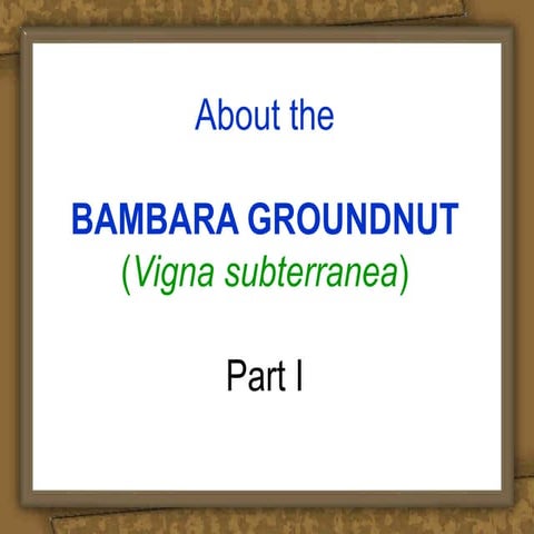 Bambara Groundnut Adaptive Trials in India by Dr. M S Basu