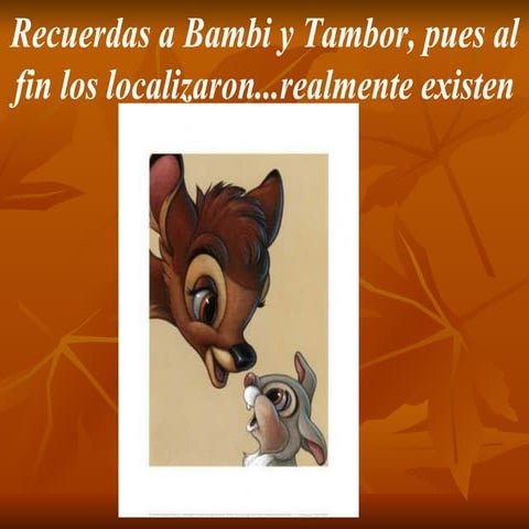 Bambi y Tambor 