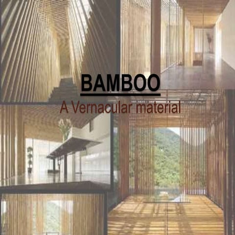 Bamboo