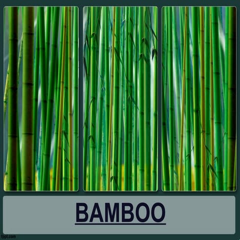 Bamboo Construction 