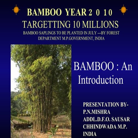 Bamboo an introduction 