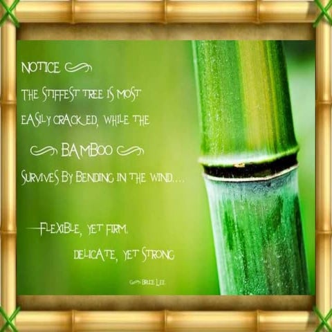 Bamboo as a building material