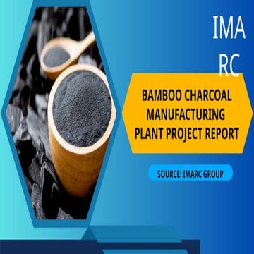 Detailed Report on Bamboo Charcoal Manufacturing Plant Setup