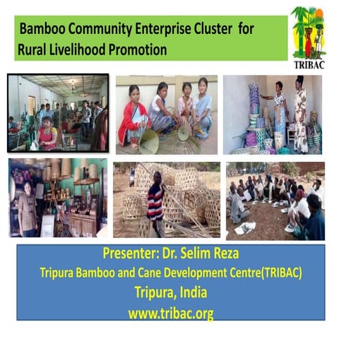 Bamboo Cluster Development 