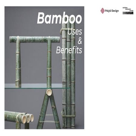 Bamboo corner2020 v rpdf
