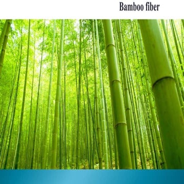 Bamboo fiber