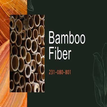 Bamboo Fiber.pptx