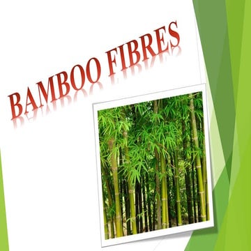 BAMBOO FIBRE.pdf