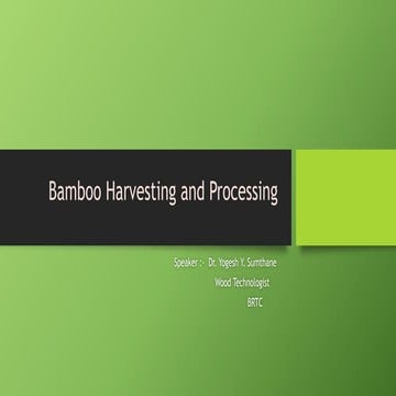 Bamboo Harvesting and Processing
