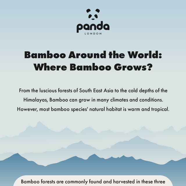 BambooInfoGraphic3-01.pdf
