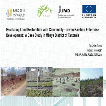 Bamboo Land Restoration Tanzania Case | PPT